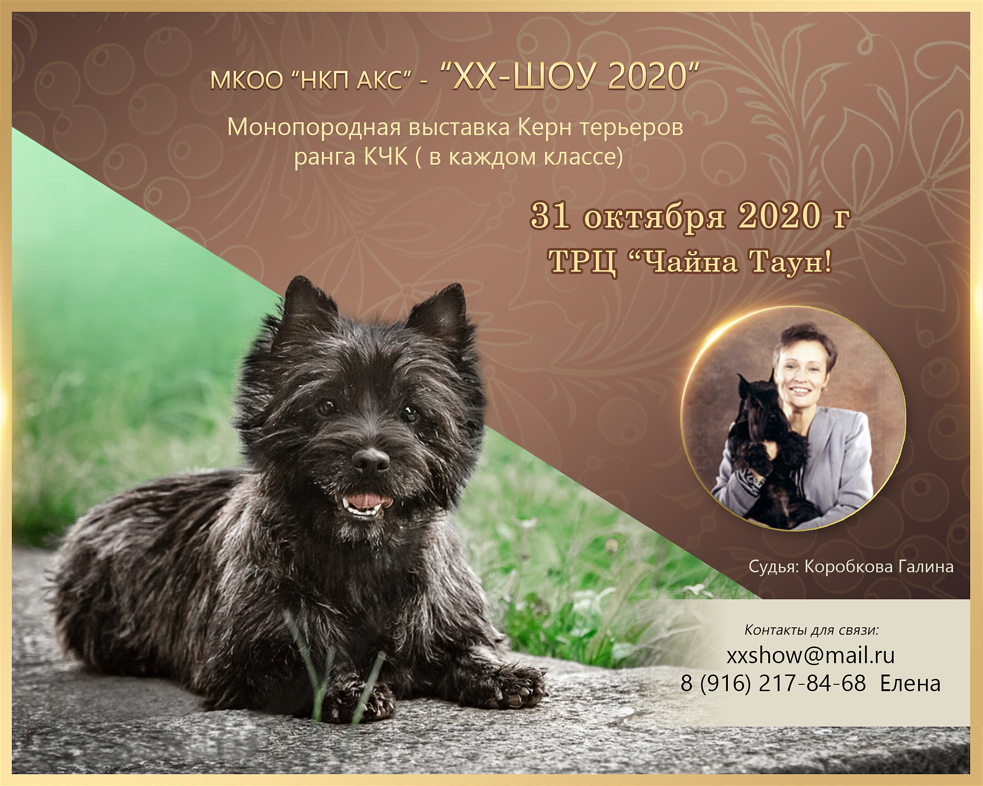 Мероприятия